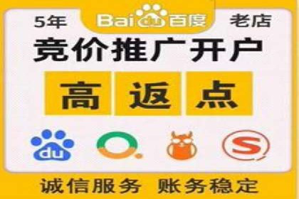 信息流竞价竞争策略：成功案例解析